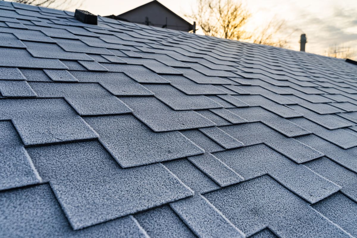 Asphalt Shingle Replacement: Essential Tips And FAQs For Homeowners